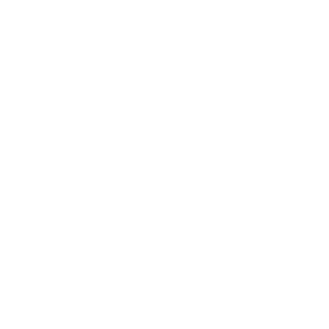 hushpuppies copy